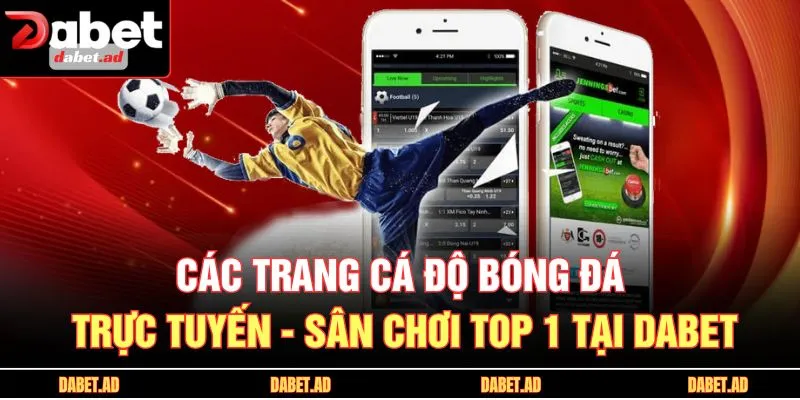 các trang cá độ bóng đá trực tuyến