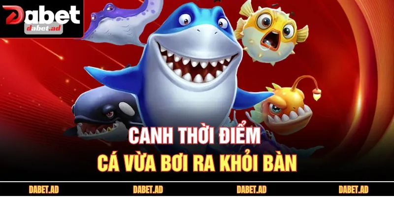 Canh thời điểm cá vừa bơi ra khỏi bàn