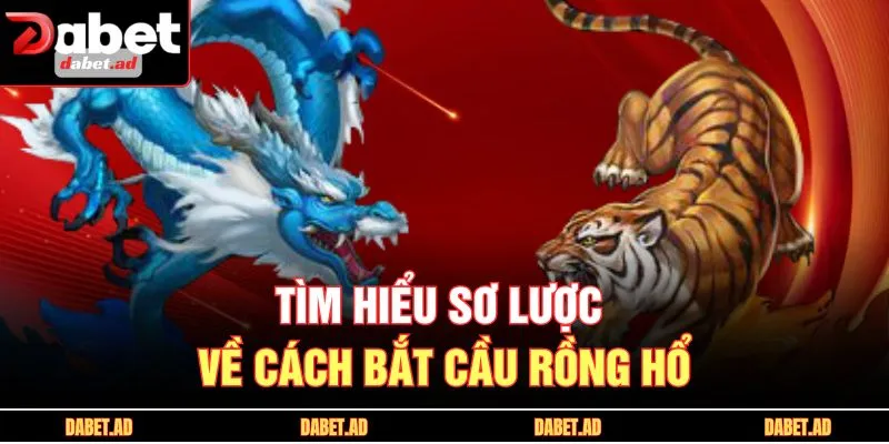 Tìm hiểu sơ lược về cách bắt cầu rồng hổ